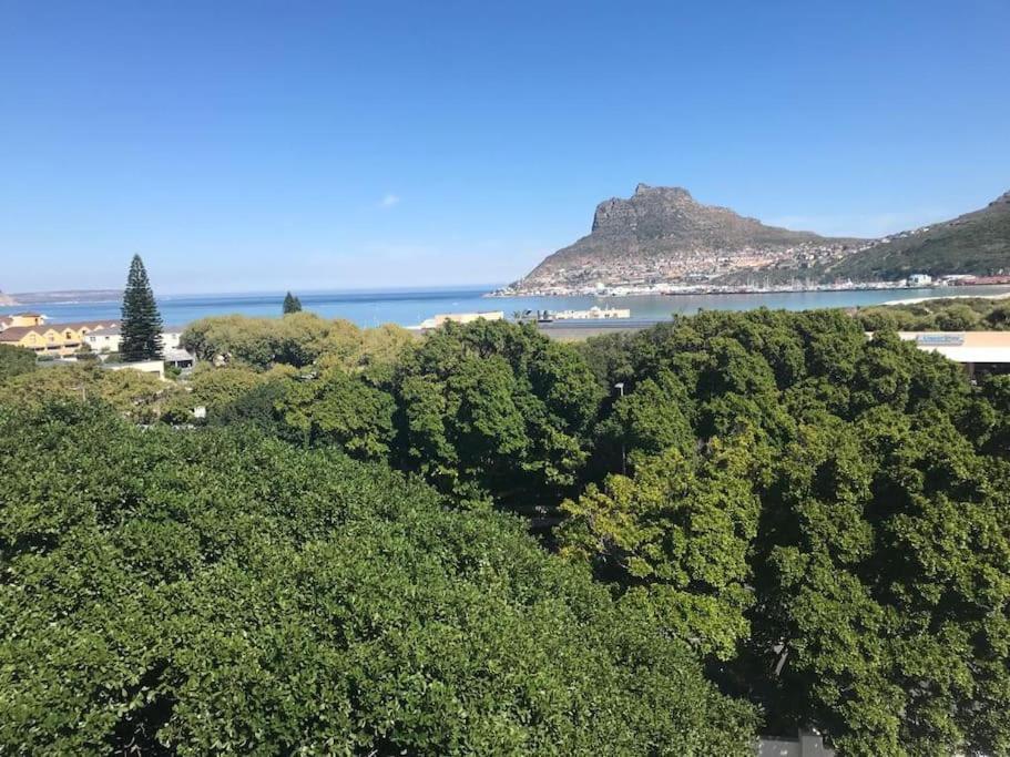 شقة Chapman'S Peak, Loft Mit Sea-Und Mountainview خليج هوت المظهر الخارجي الصورة