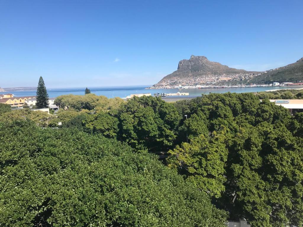 شقة Chapman'S Peak, Loft Mit Sea-Und Mountainview خليج هوت المظهر الخارجي الصورة